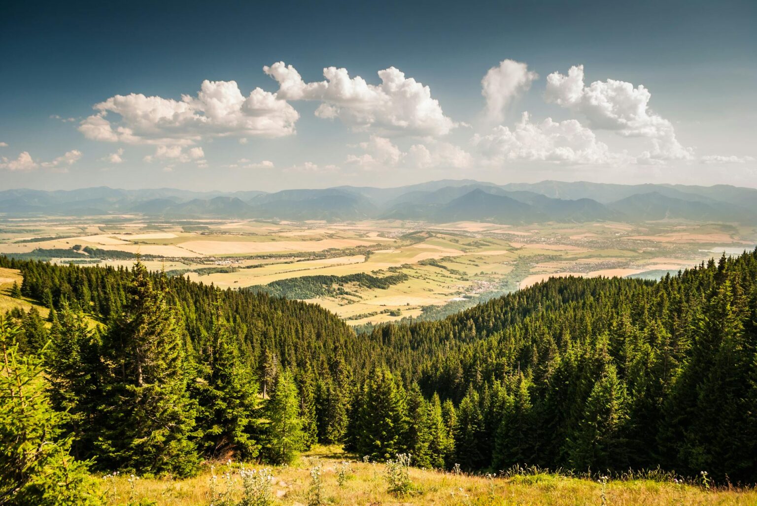 Landscape background