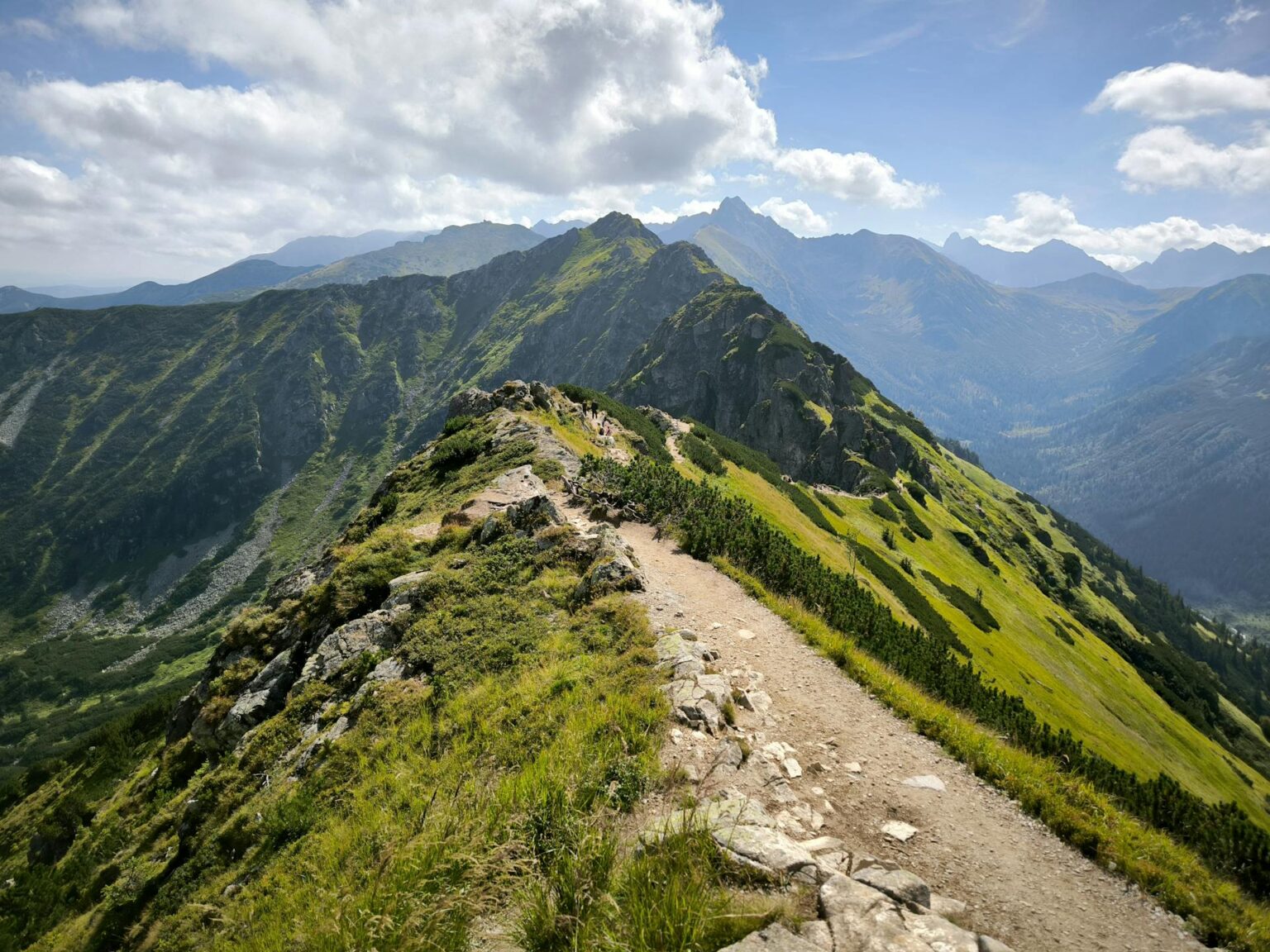 Landscape background