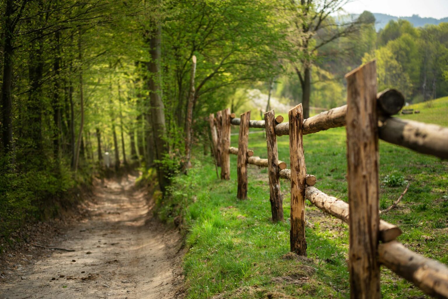 Landscape background