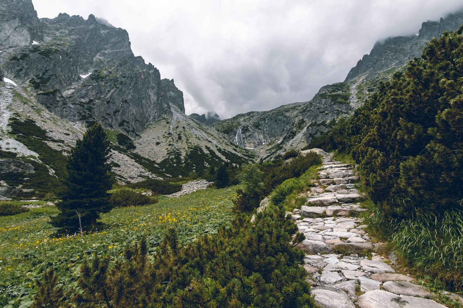 Landscape background