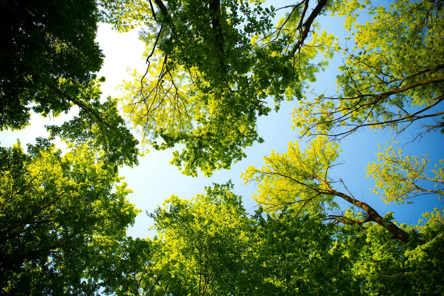 Landscape background